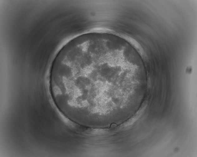 X0000102841430200809151053