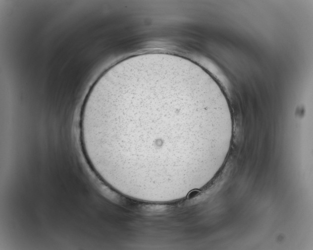 X0000102841431200809151053