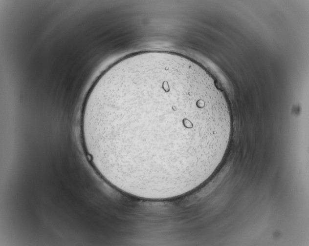 X0000102841432200809151053