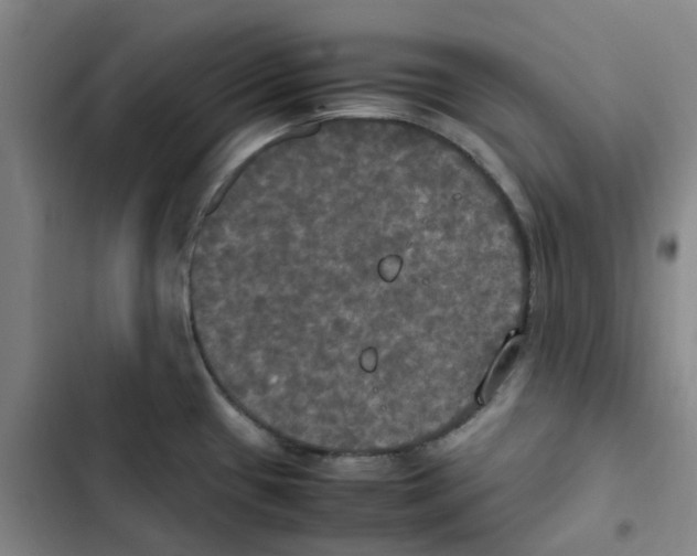 X0000102841433200809151053