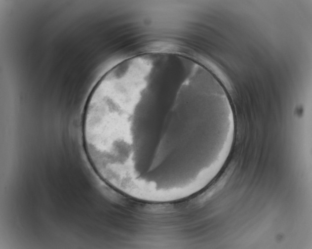 X0000102841434200809151053