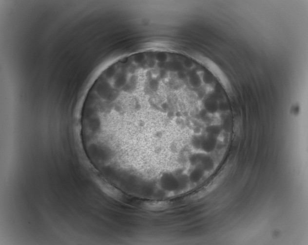 X0000102841435200809151053