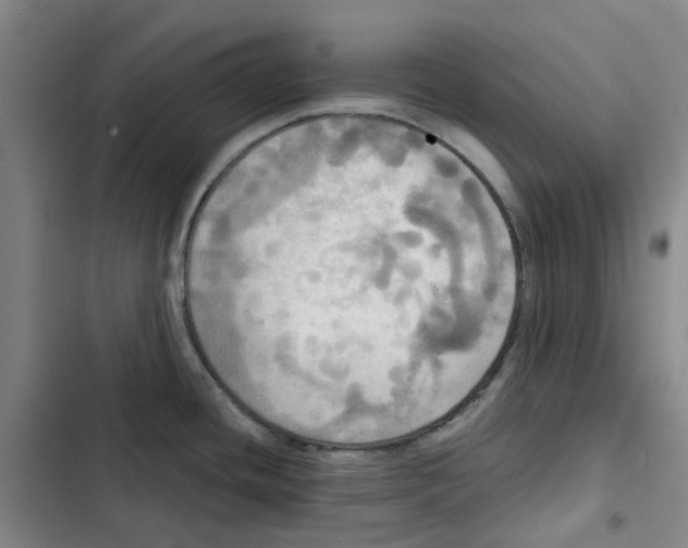 X0000102841436200809151053