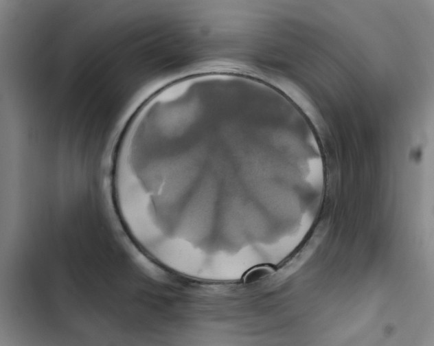 X0000102841438200809151053