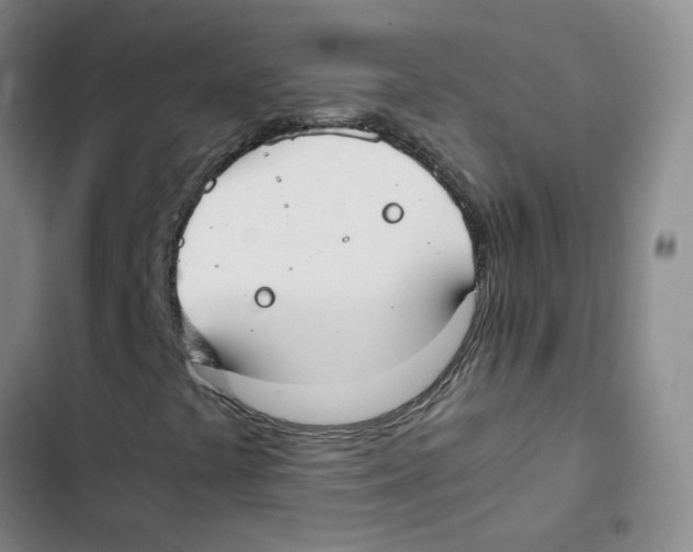 X0000102841441200809151052