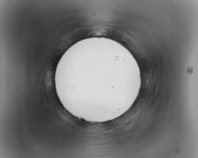 X0000102841442200809151052