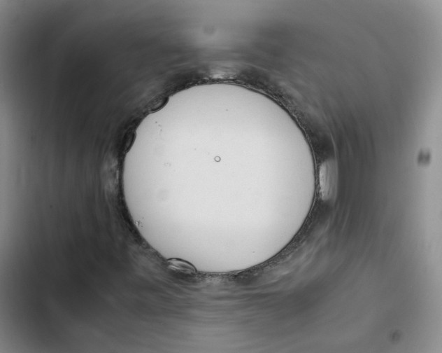 X0000102841443200809151052