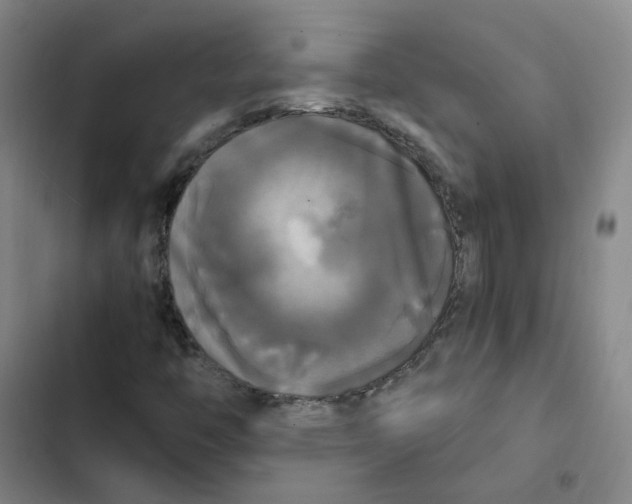 X0000102841446200809151052