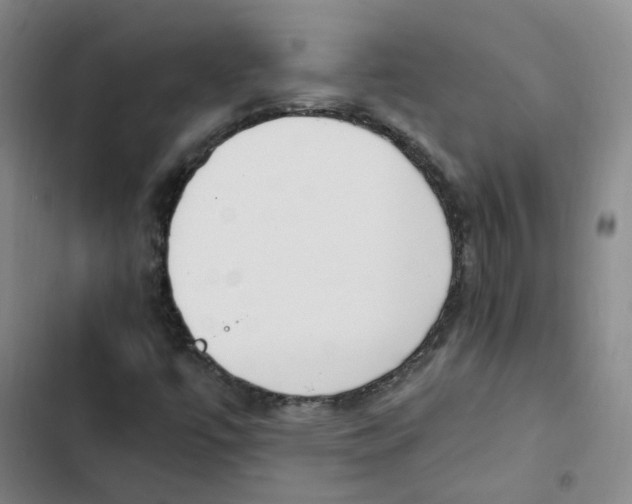 X0000102841447200809151052