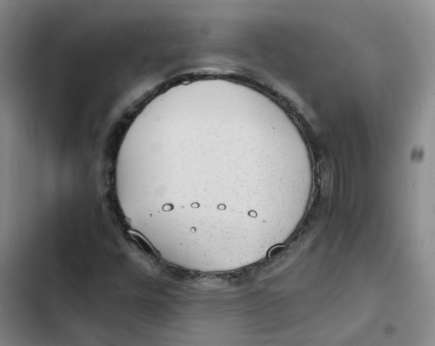 X0000102841448200809151052