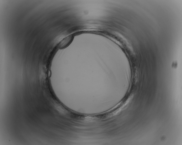 X0000102841449200809151052