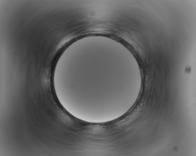 X0000102841450200809151052