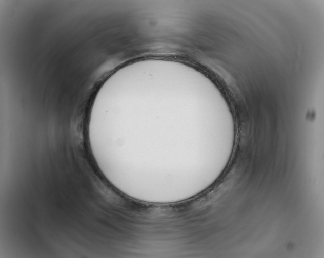 X0000102841451200809151052