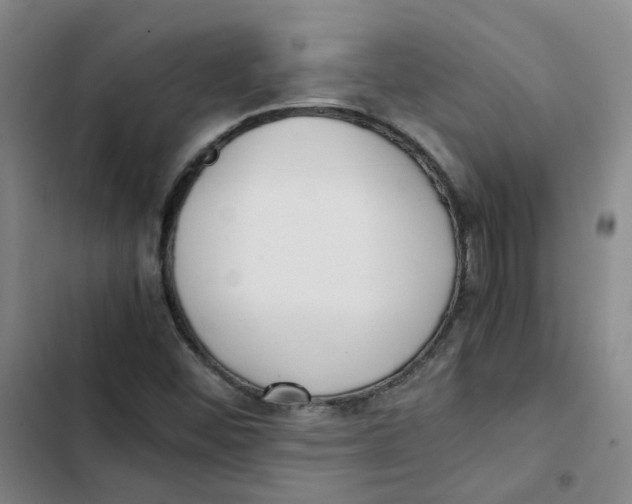 X0000102841452200809151052