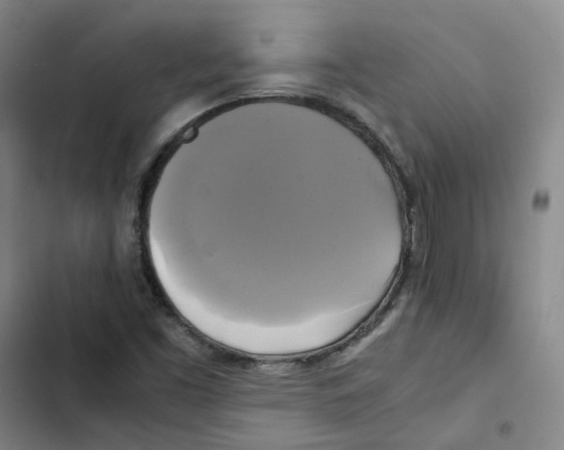 X0000102841453200809151052