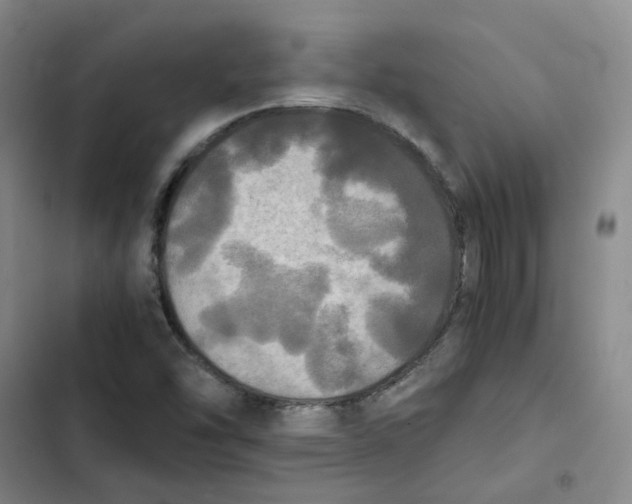 X0000102841454200809151052