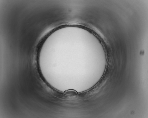 X0000102841456200809151052