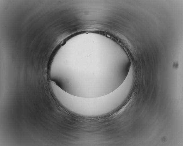 X0000102841457200809151052