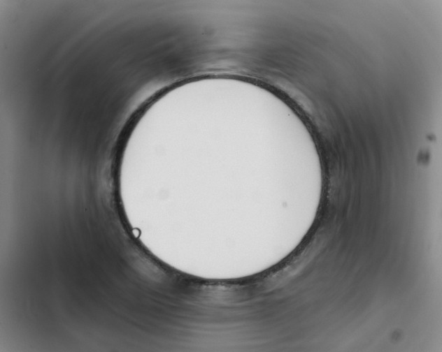 X0000102841458200809151052