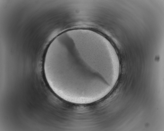 X0000102841459200809151052