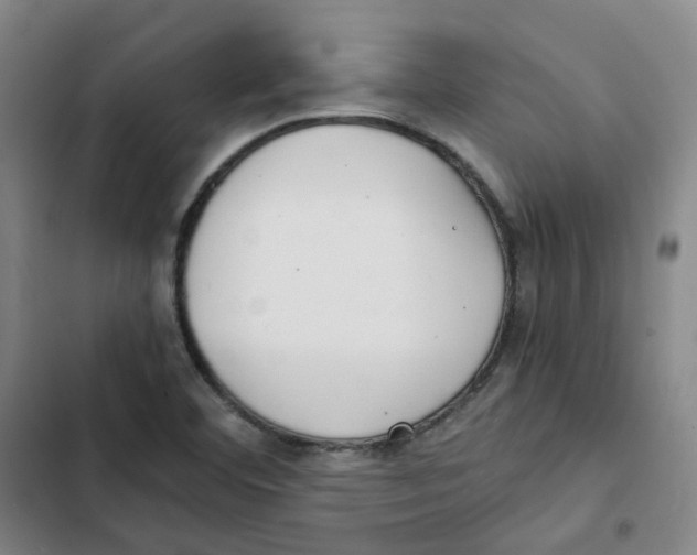 X0000102841460200809151052