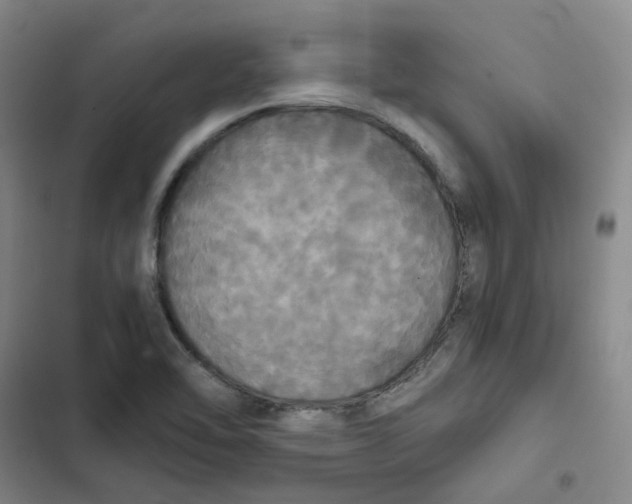 X0000102841462200809151052