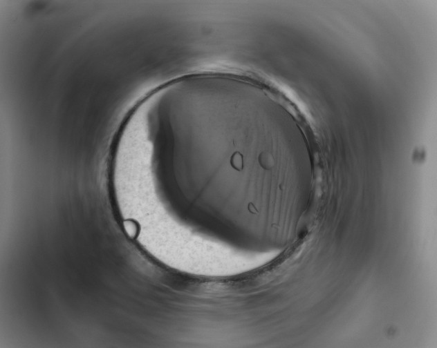 X0000102841463200809151052