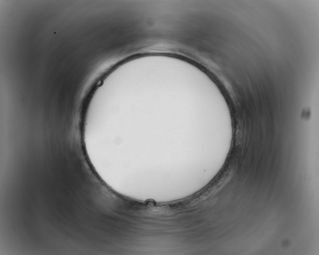 X0000102841464200809151052