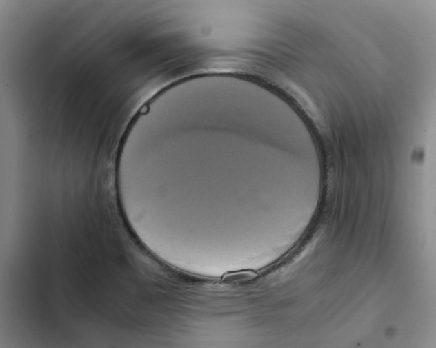 X0000102841465200809151052