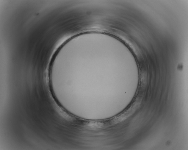 X0000102841466200809151052