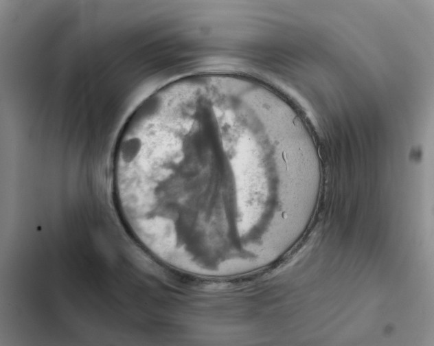 X0000102841467200809151052