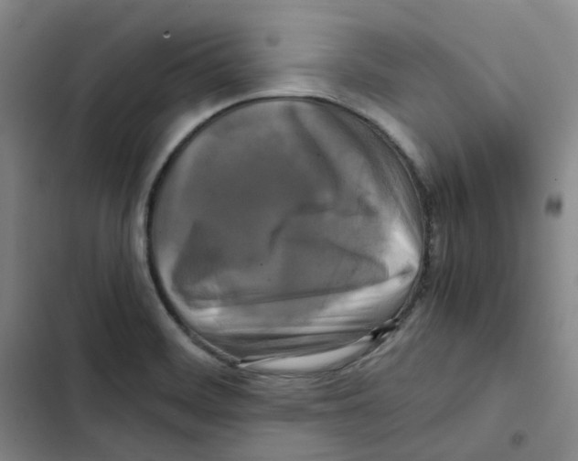 X0000102841468200809151052