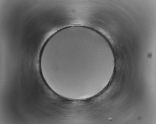 X0000102841469200809151052