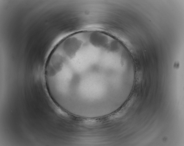 X0000102841470200809151052