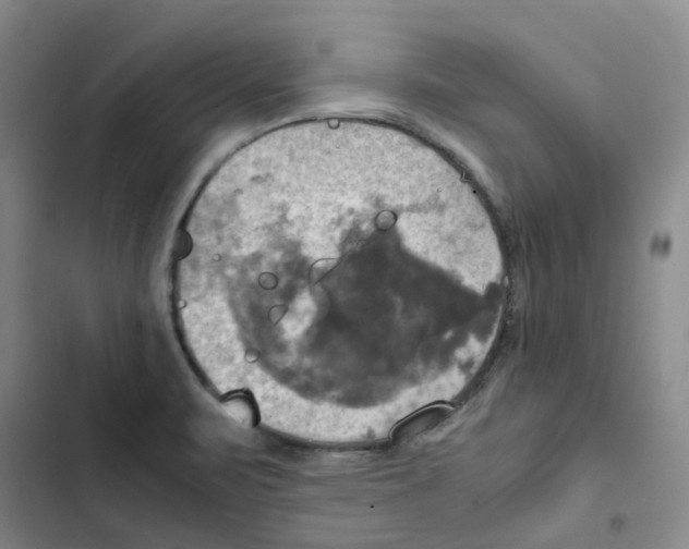 X0000102841471200809151052