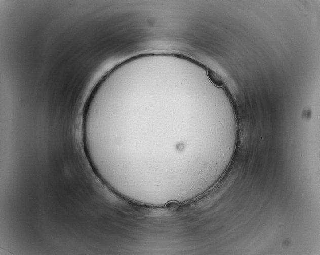 X0000102841472200809151052