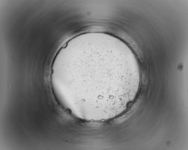 X0000102841473200809151052