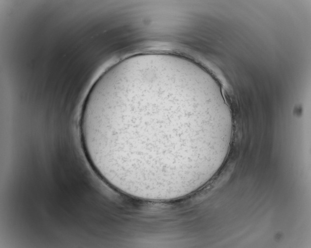 X0000102841475200809151052