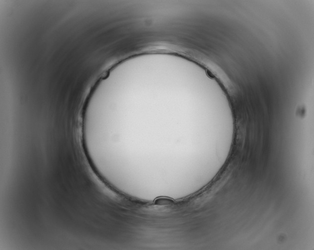 X0000102841476200809151052