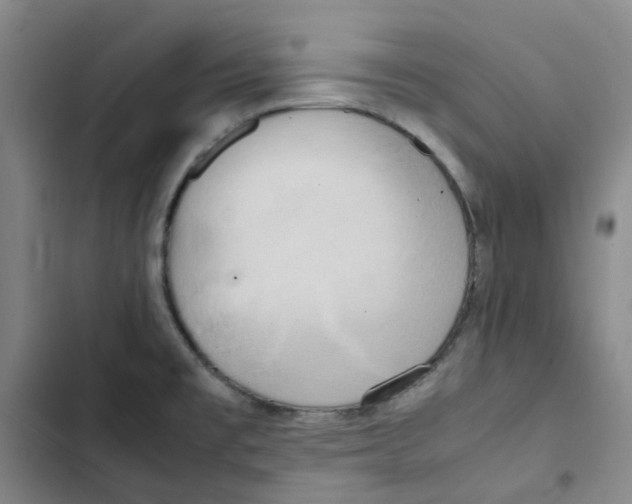 X0000102841477200809151052