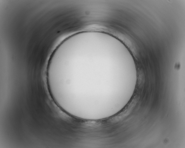 X0000102841478200809151052