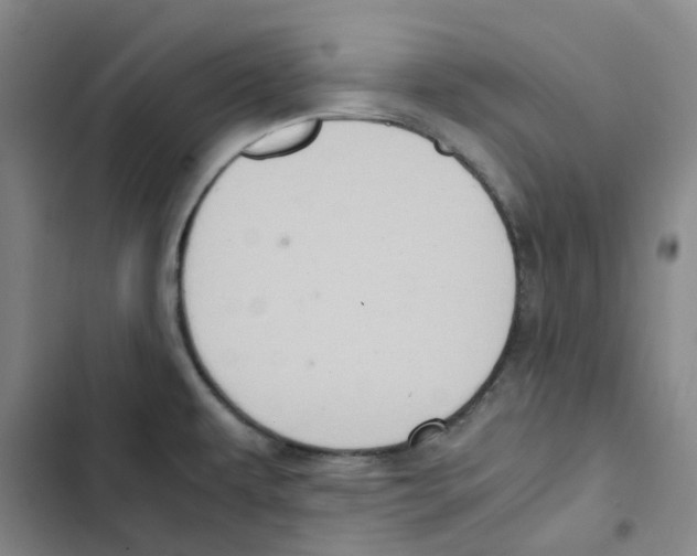 X0000102841479200809151052