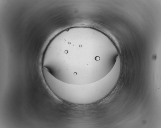 X0000102841480200809151052