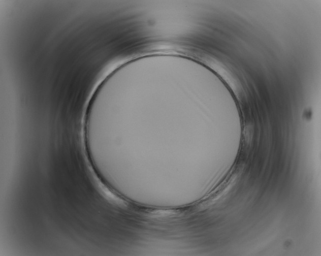 X0000102841482200809151052