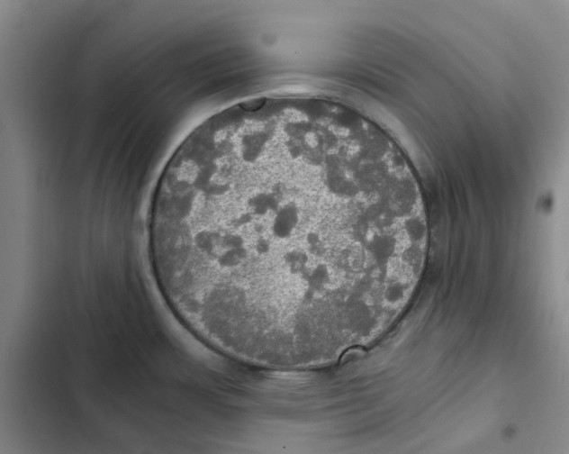 X0000102841483200809151052