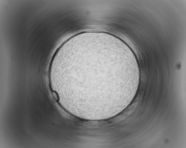 X0000102841485200809151052