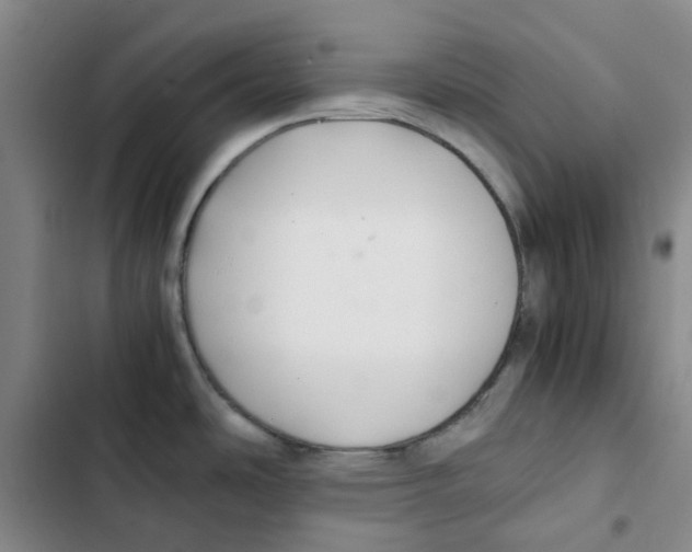 X0000102841486200809151052