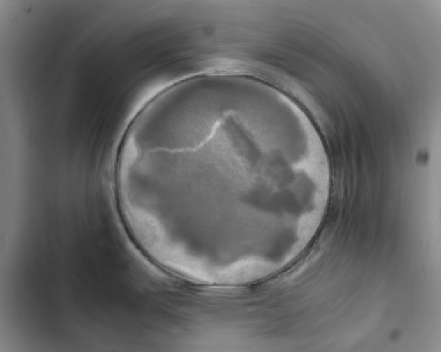 X0000102841487200809151052