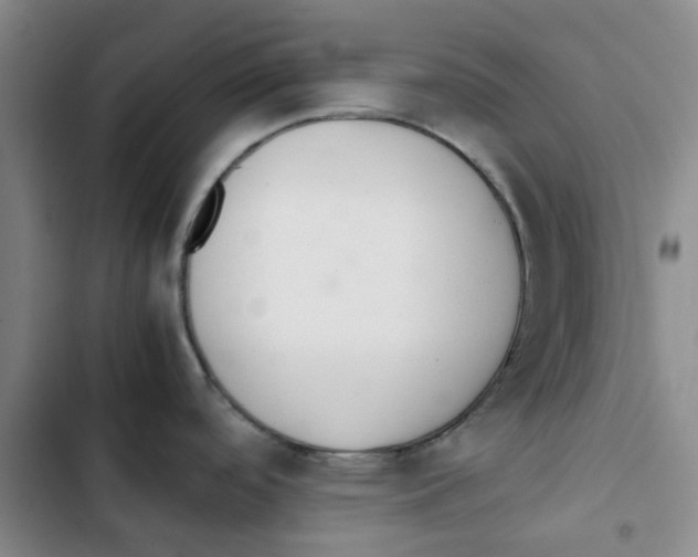 X0000102841488200809151052