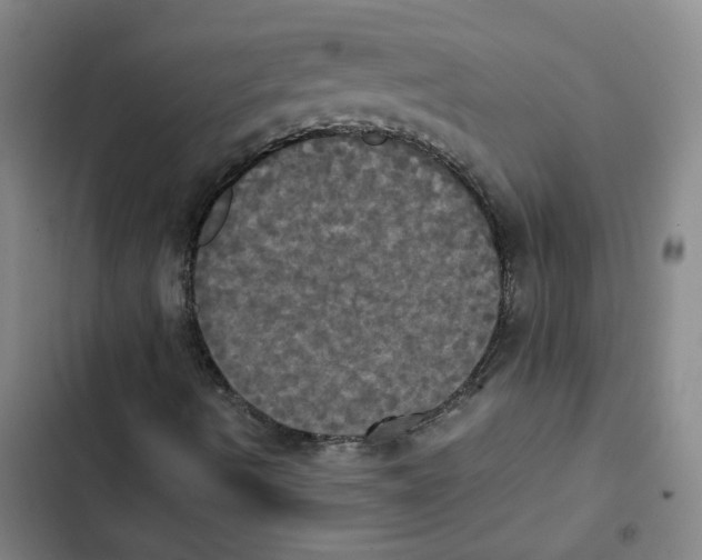 X0000102841490200809151051